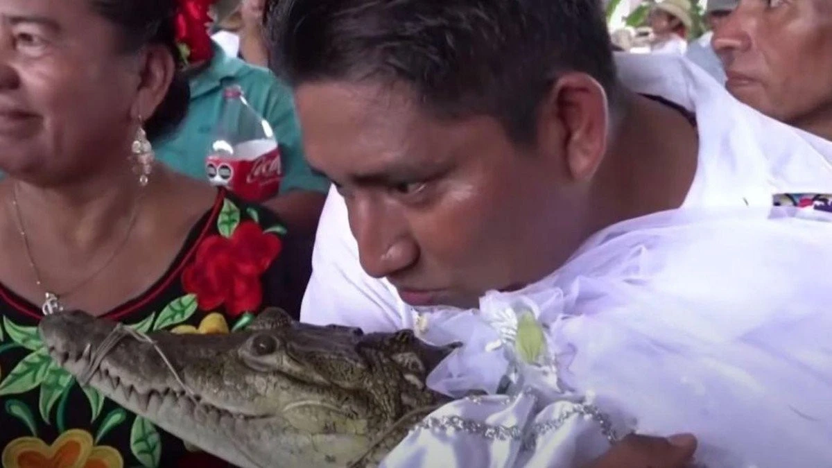 Mexic: Un primar s-a însurat cu un crocodil