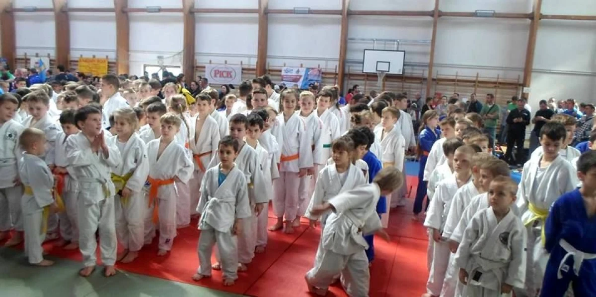 MICII JUDOKA ARĂDENI AU CUCERIT O SALBĂ DE MEDALII ÎN UNGARIA