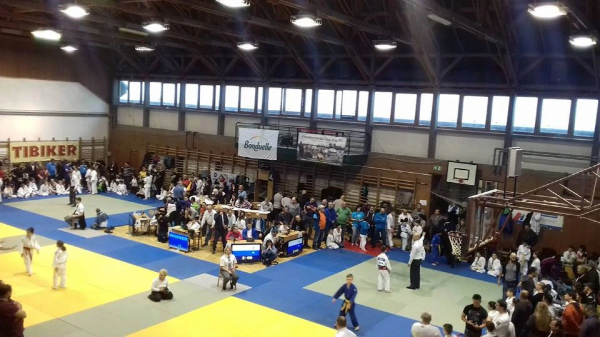 Micii judoka s-au remarcat la două competiții în Ungaria