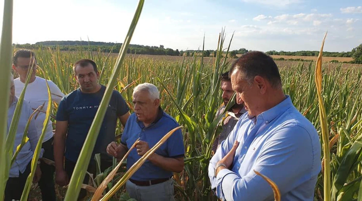 Mihai Fifor: Ministrul Agriculturii, Petre Daea, a demonstrat, a mia oara, că îi pasă și că îi respectă profund pe fermierii arădeni