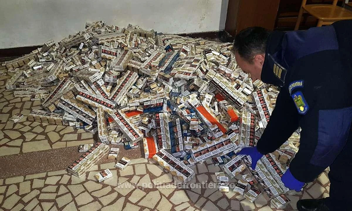 Mii de pachete de țigări de contrabandă, descoperite ascunse într-o autoutilitară la P.T.F. Nădlac II