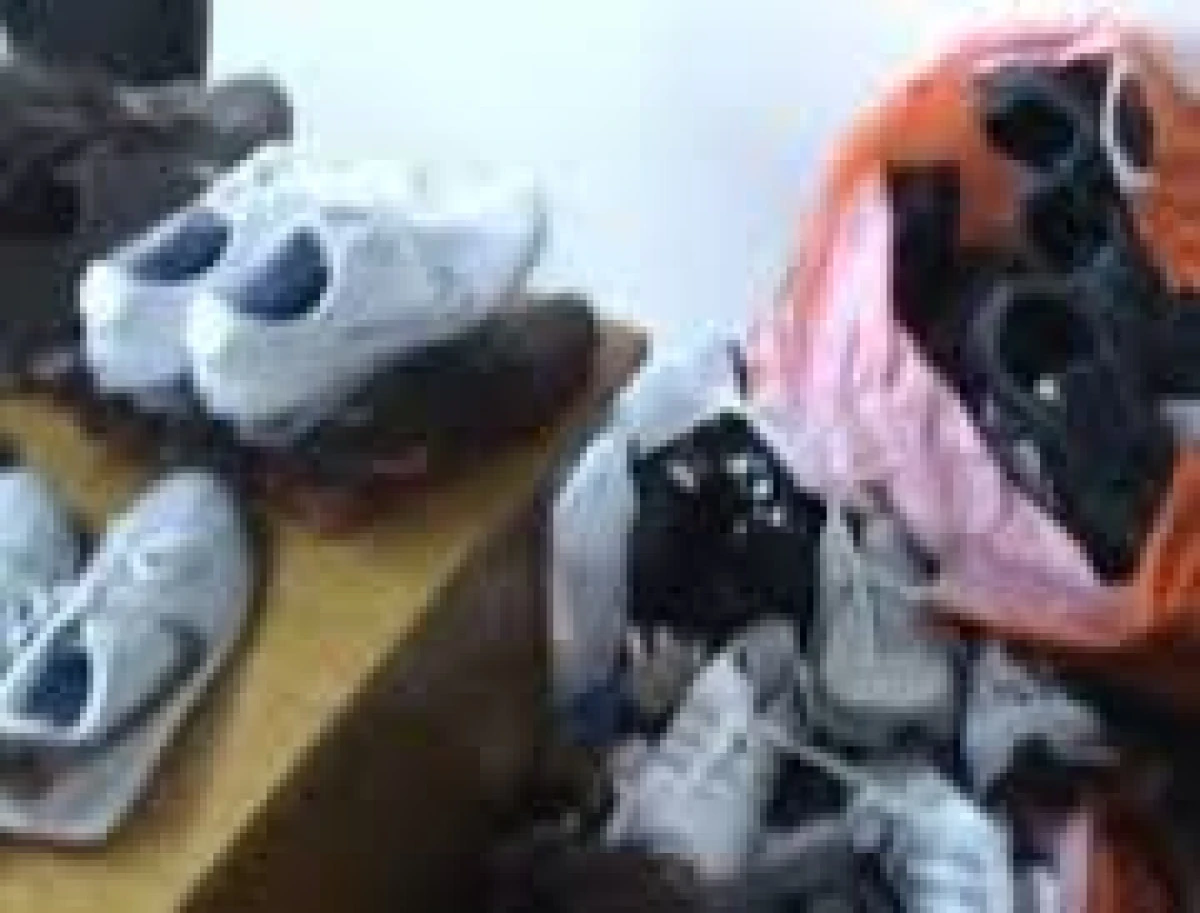 Mii de perechi de pantofi au fost confiscați de poliţiştii din Vladimirescu