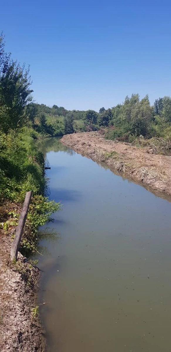 Ministrul Agriculturii: „În acest an finalizăm lucrările la Canalul Morilor“