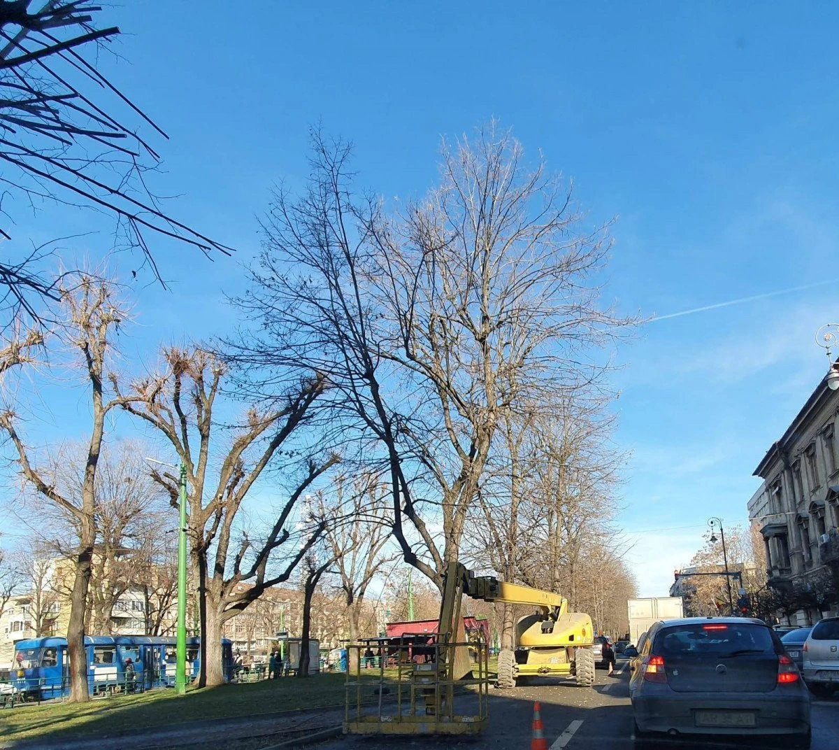 Mintea și mai odihnită a lui Bibarț blochează acum traficul Aradului