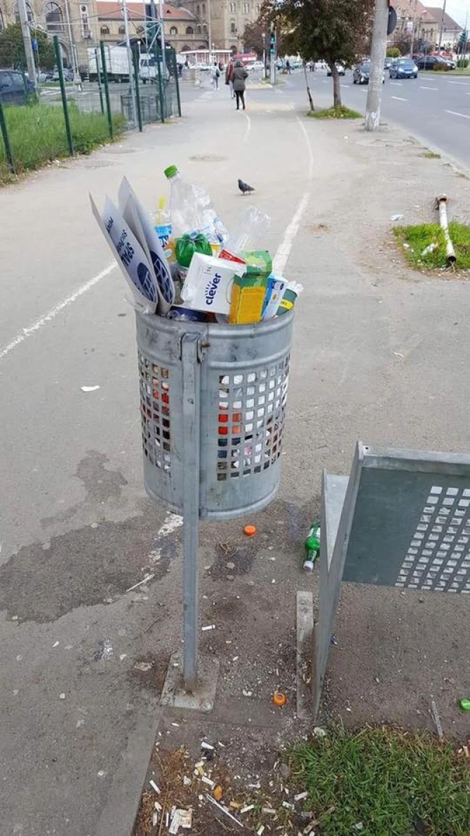 Mirosul gunoaielor a ajuns la DNA. Primăria a anulat licitația, firmele contestă la CNSC
