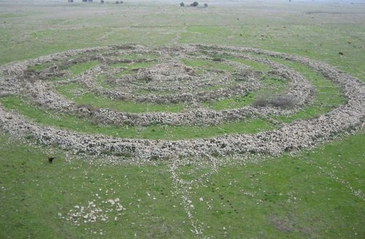 MISTERUL CELOR PESTE 40.000 DE TONE DE PIETRE DIN LEVANT