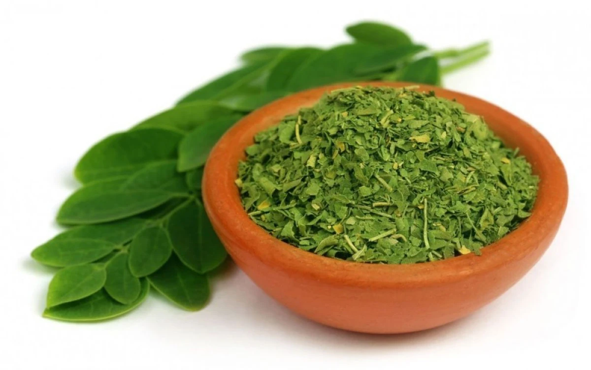 MORINGA, PLANTA CARE ÎMBUNĂTĂŢEŞTE DENSITATEA OSOASĂ