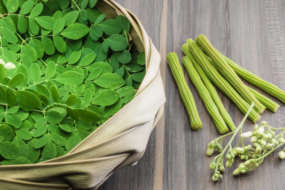 Moringa protejează ficatul