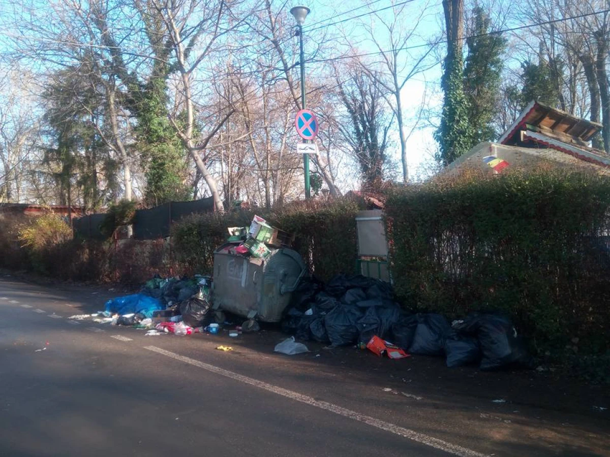 Municipiul Arad, invadat de gunoaie la final de 2017 (FOTO)