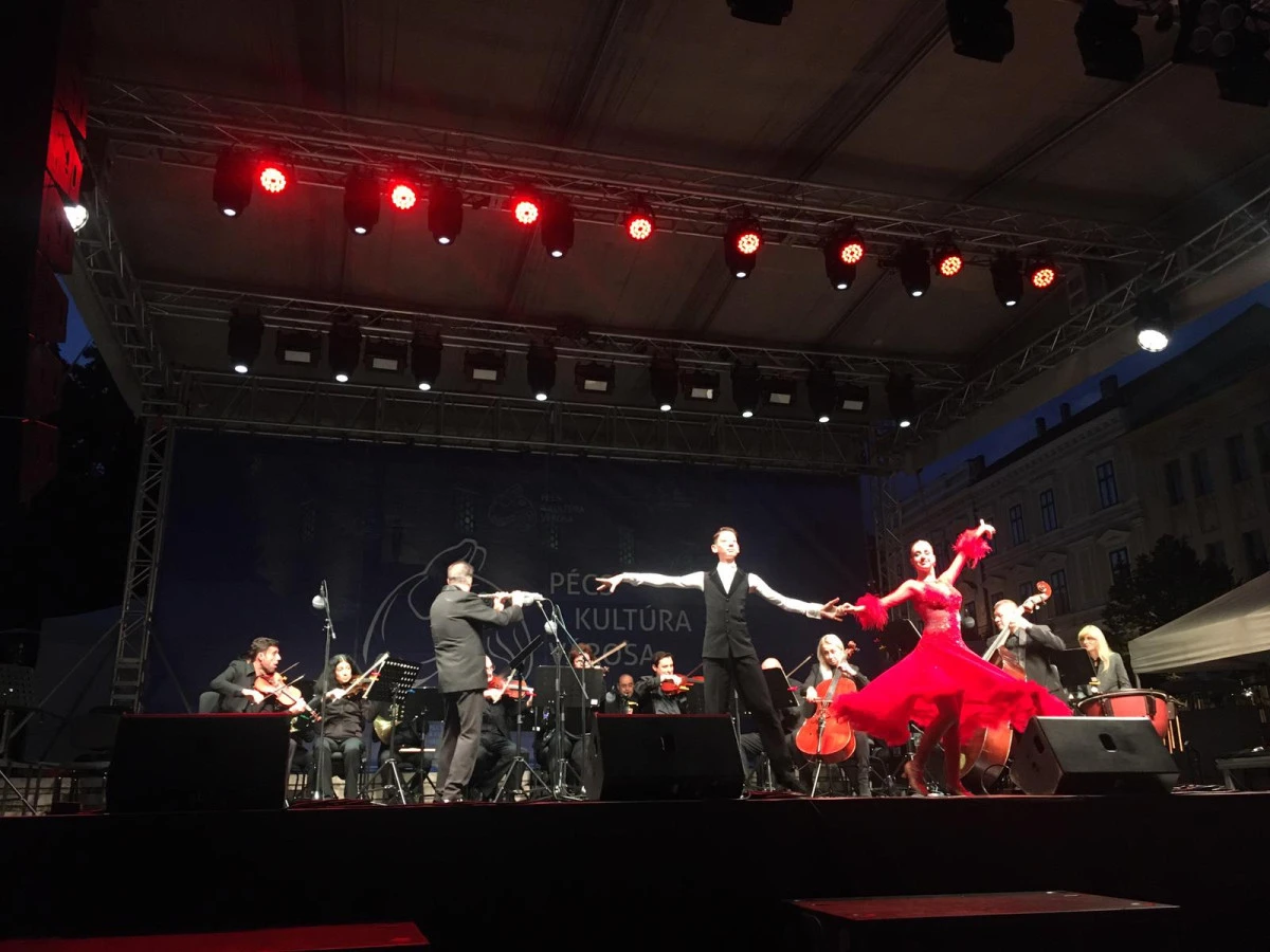 Municipiul Arad, reprezentat cu succes la Pécs