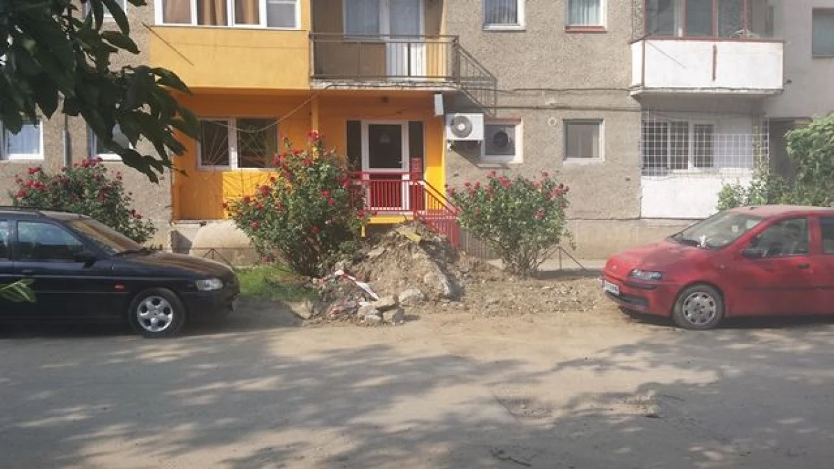 N-AI VOTAT FALCA ? PRIMARIA TE „CADORISESTE“ CU GROPI, BALAST, PRAF SI MULTE BALARII