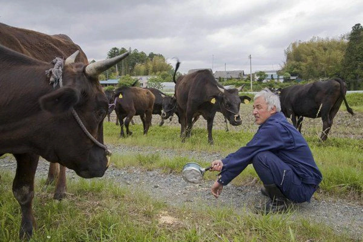 NAOTO MATSUMARA, PĂZITORUL ANIMALELOR DIN FUKUSHIMA