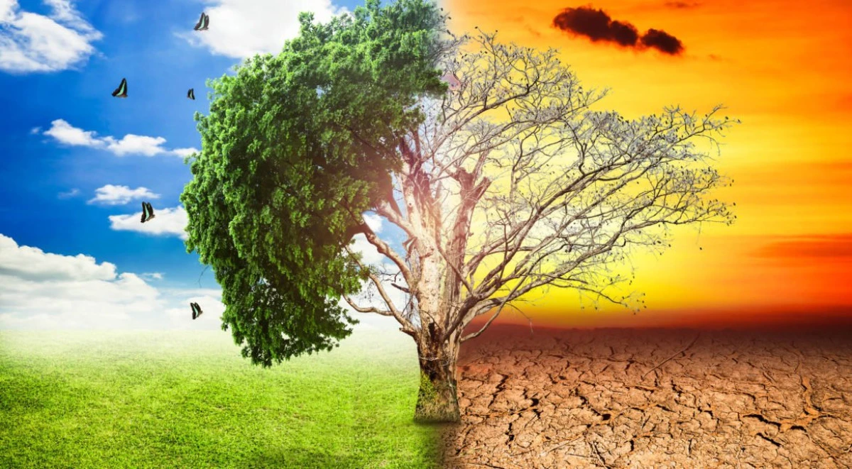 Nouă din zece români consideră că schimbările climatice sunt reale