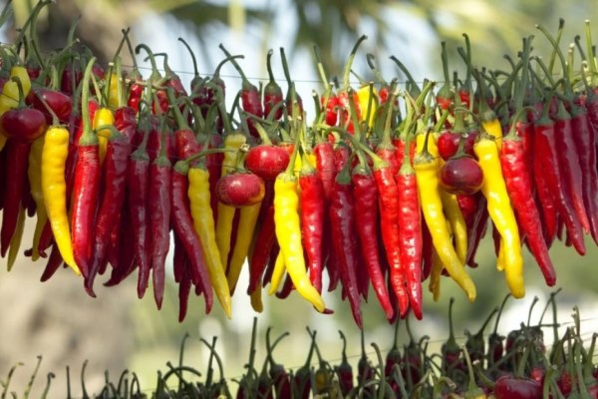 Nu consumi ardei iute? Vezi de ce ar trebui să te răzgândești!