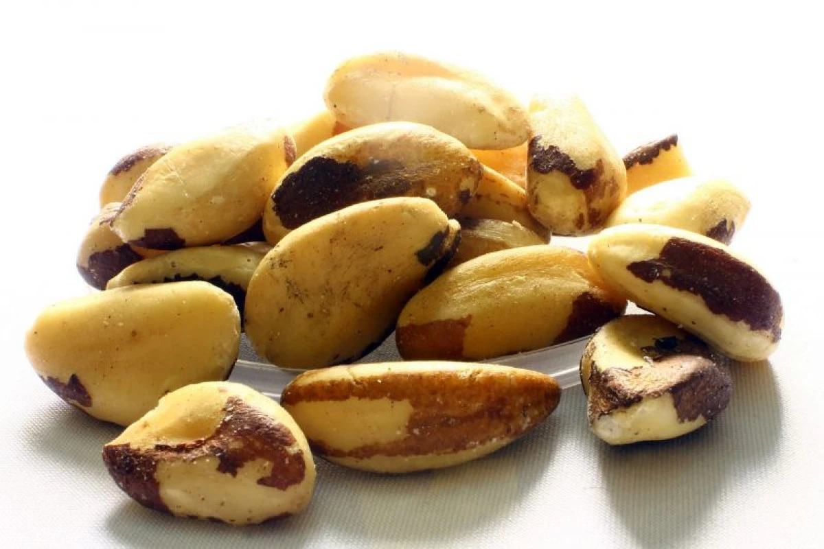 Nucile braziliene întârzie procesele îmbătrânirii