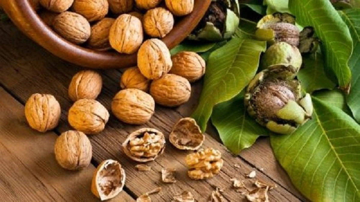 Nucile scad riscul de deces din cauza bolilor cardiovasculare