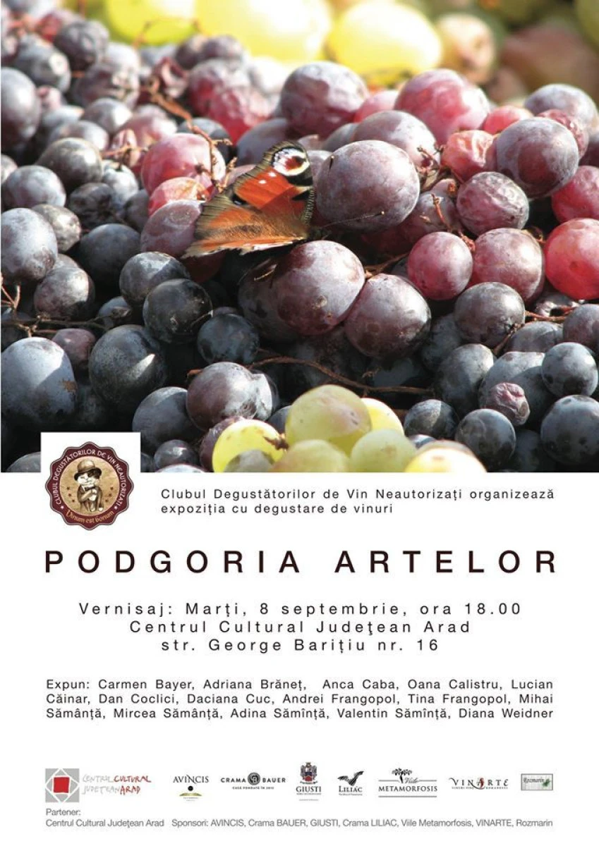 O EXPOZITIE UNICA IN ROMANIA, CE ARE CA TEMA VINUL, A FOST DESCHISA LA ARAD