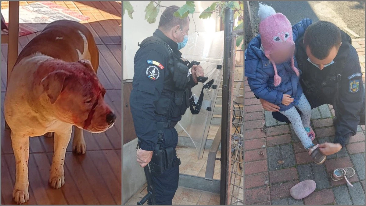 O familie atacată de proprii câini a fost salvată de jandarmi