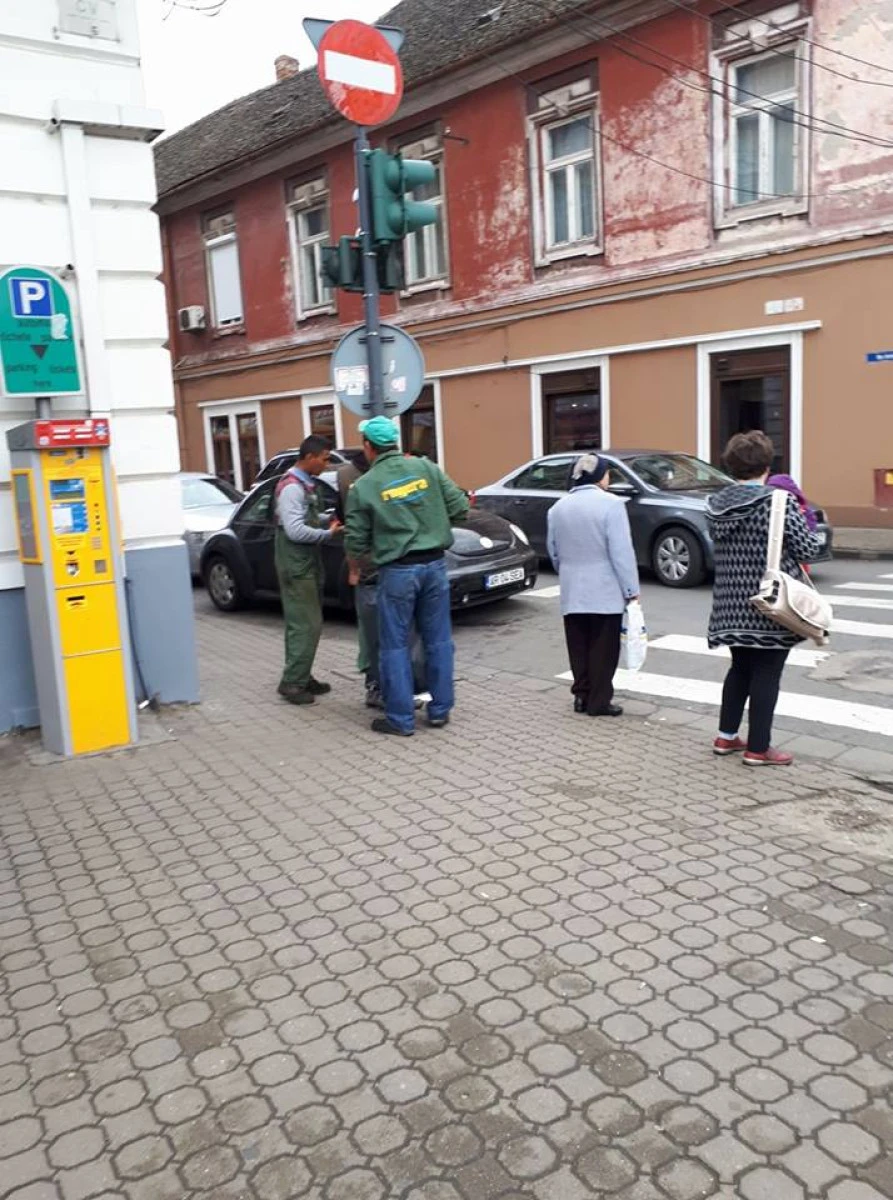 O firmă din Timişoara strânge gratis gunoiul din Arad. Ce înţelegeri aveţi, domnule Falcă?