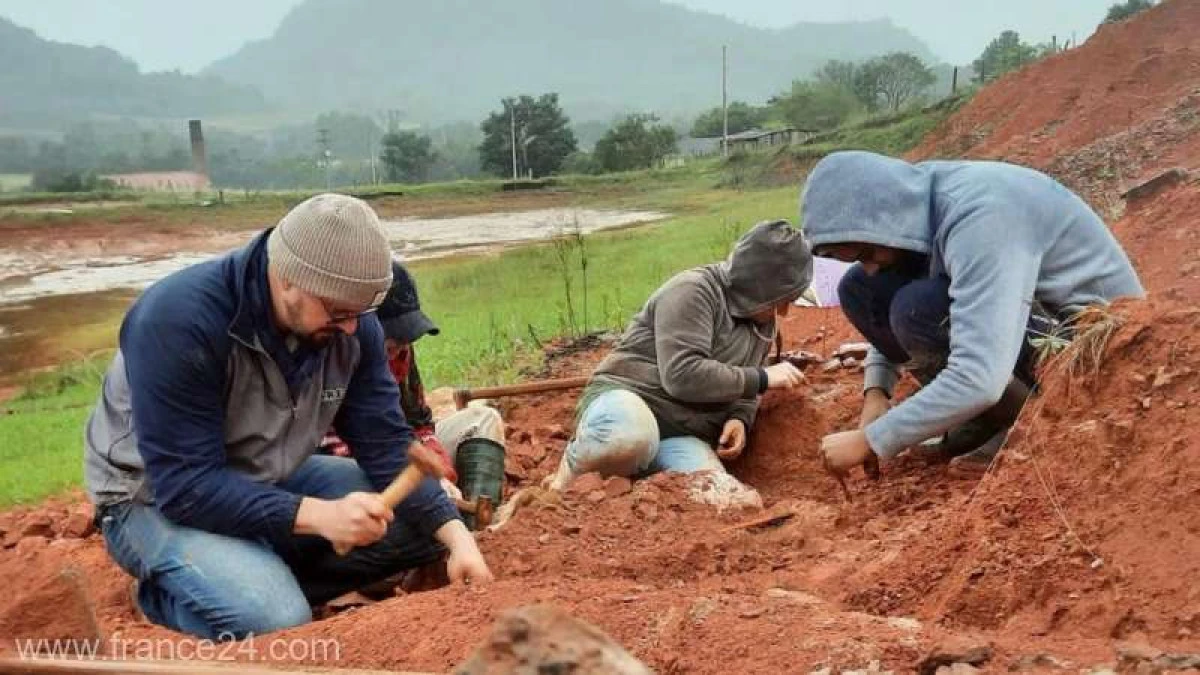 O fosilă de dinozaur, scoasă la iveală de inundaţiile masive din Brazilia
