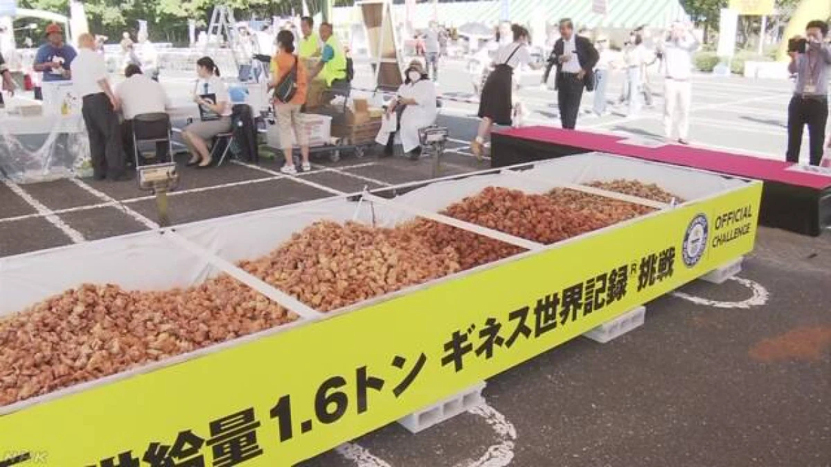O localitate din Japonia a intrat în Cartea Recordurilor pentru cea mai mare cantitate de pui prăjit
