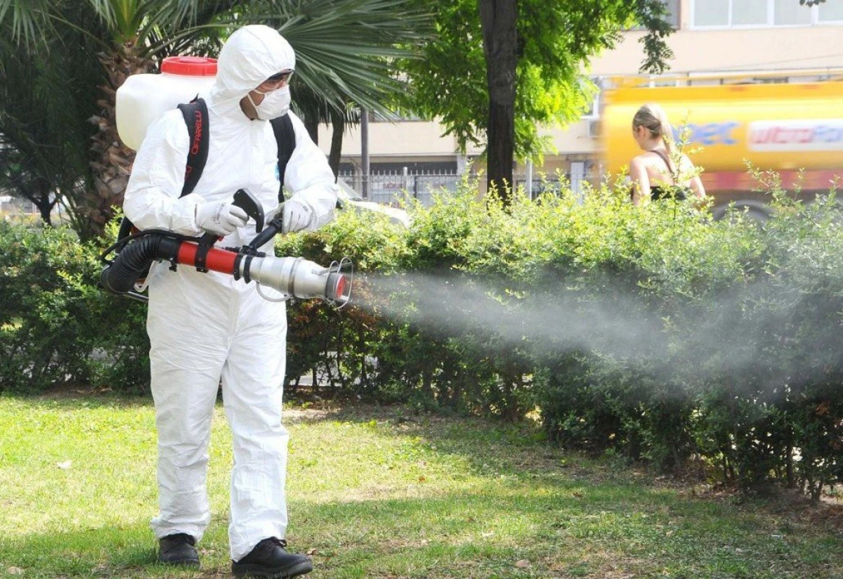 O nouă acţiune de dezinsecţie terestră în municipiul Arad