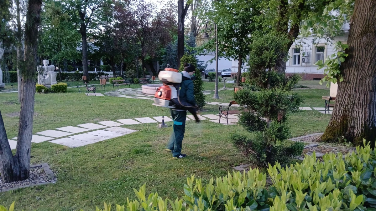 O nouă dezinsecție în municipiul Arad 