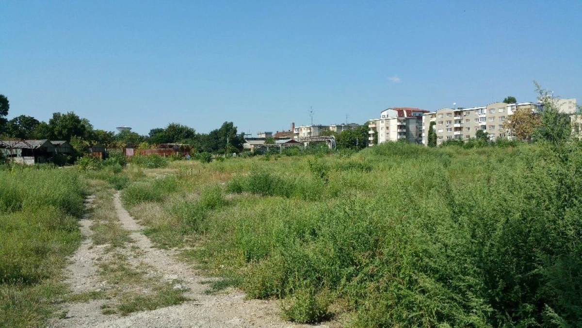 O nouă minciună marca Falcă. Primăria nu a mai cumpărat „Tricoul Roşu”