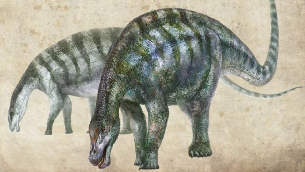 O nouă specie de dinozauri descoperită în Ecuador
