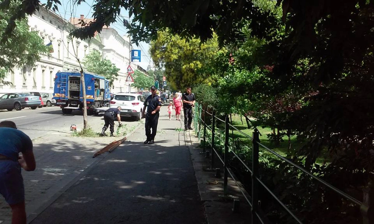 O nouă vijelie ar putea lovi Aradul