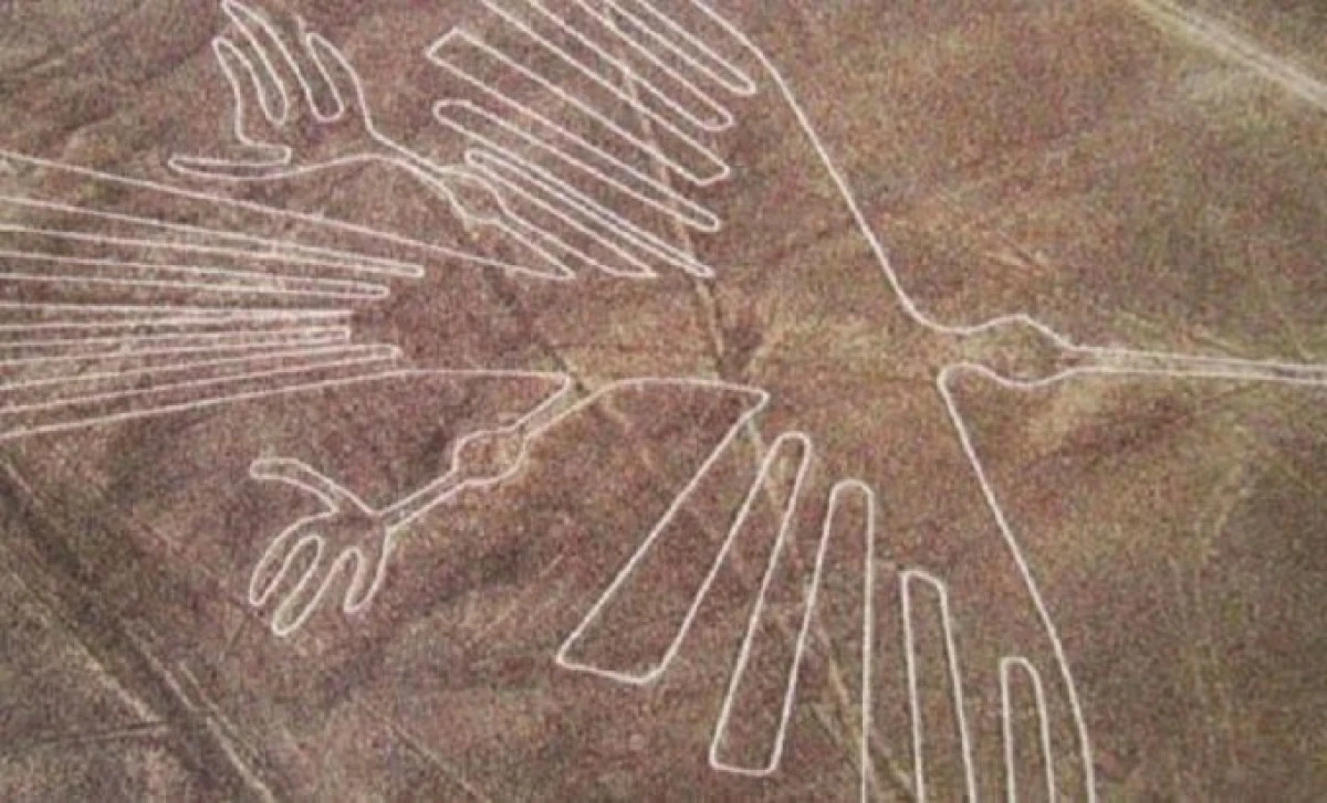 O parte dintre liniile din Nazca, distruse de un șofer de camion