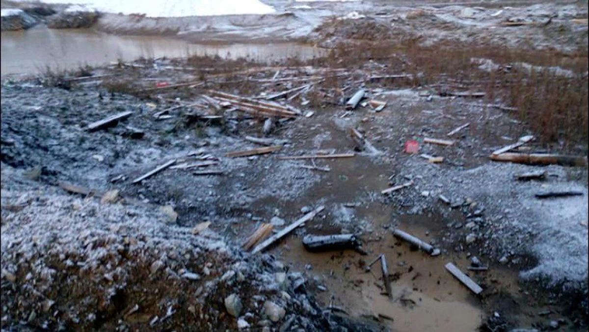 O pasăre care a trăit în urmă cu 46.000 de ani, descoperită în Siberia