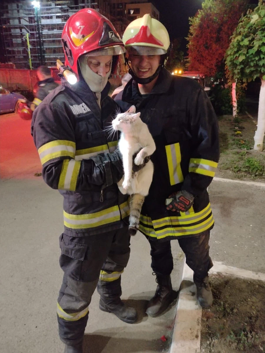 O pisică aventurieră și un cățel  neastâmpărat, au intrat in bucluc, luni seara