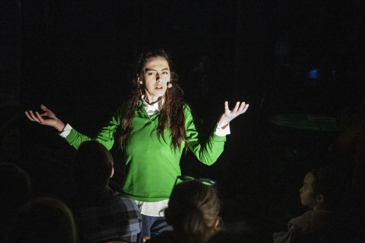 O săptămână de succes pentru artiștii Companiei de Teatru Aradi Kamaraszínház