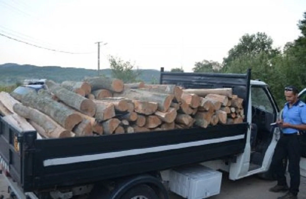 O tânără din Ususău, prinsă în timp ce transporta lemne fără acte de proveniență