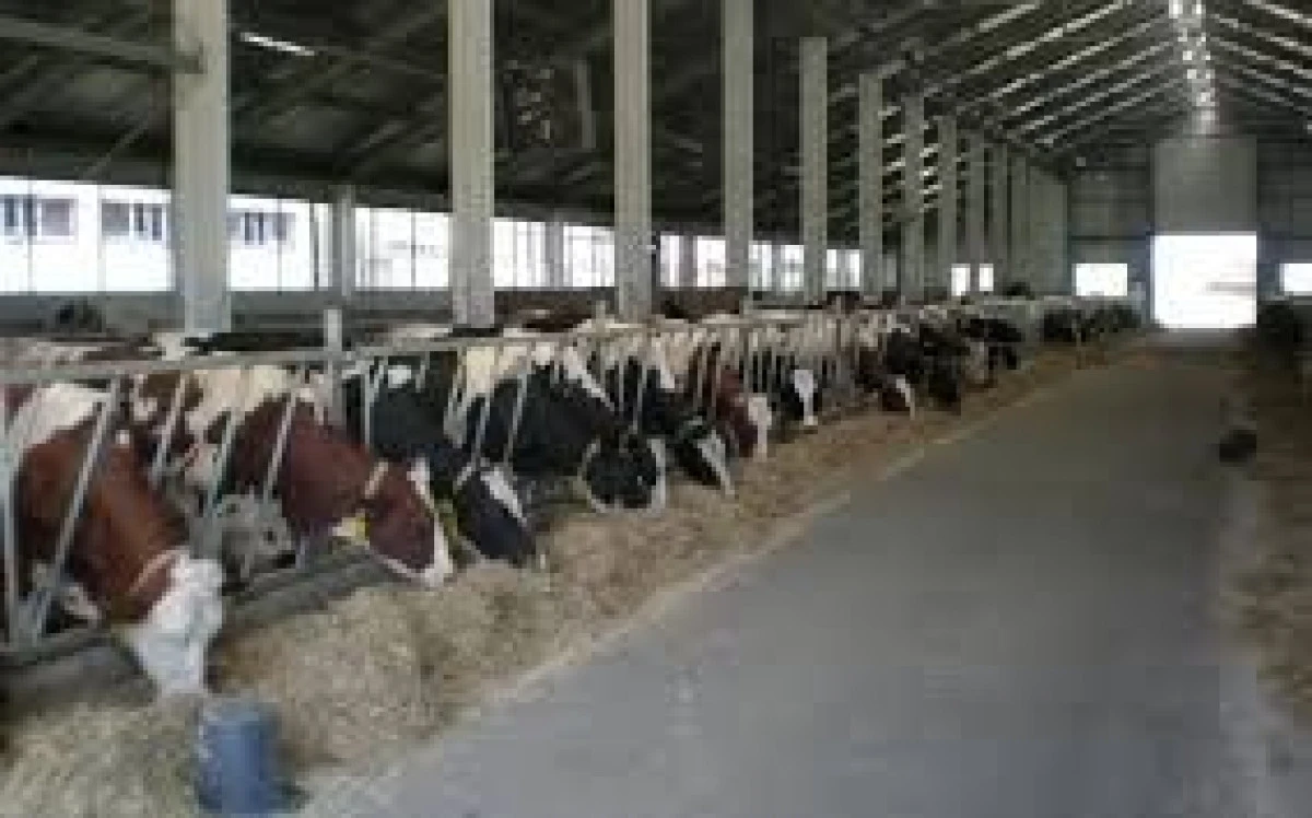O VESTE EXCELENTĂ ÎNAINTE DE AGROMALIM: 15 MII DE EURO PENTRU ZOOTEHNIȘTI