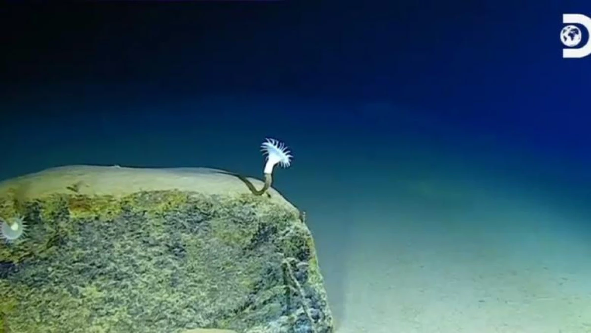 Oamenii au reuşit să polueze şi cel mai adânc loc din ocean, Groapa Marianelor