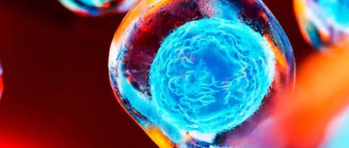 Oamenii de știință au reușit reprogramarea unor celule de la o femeie de 114 ani până la nivelul celulelor stem