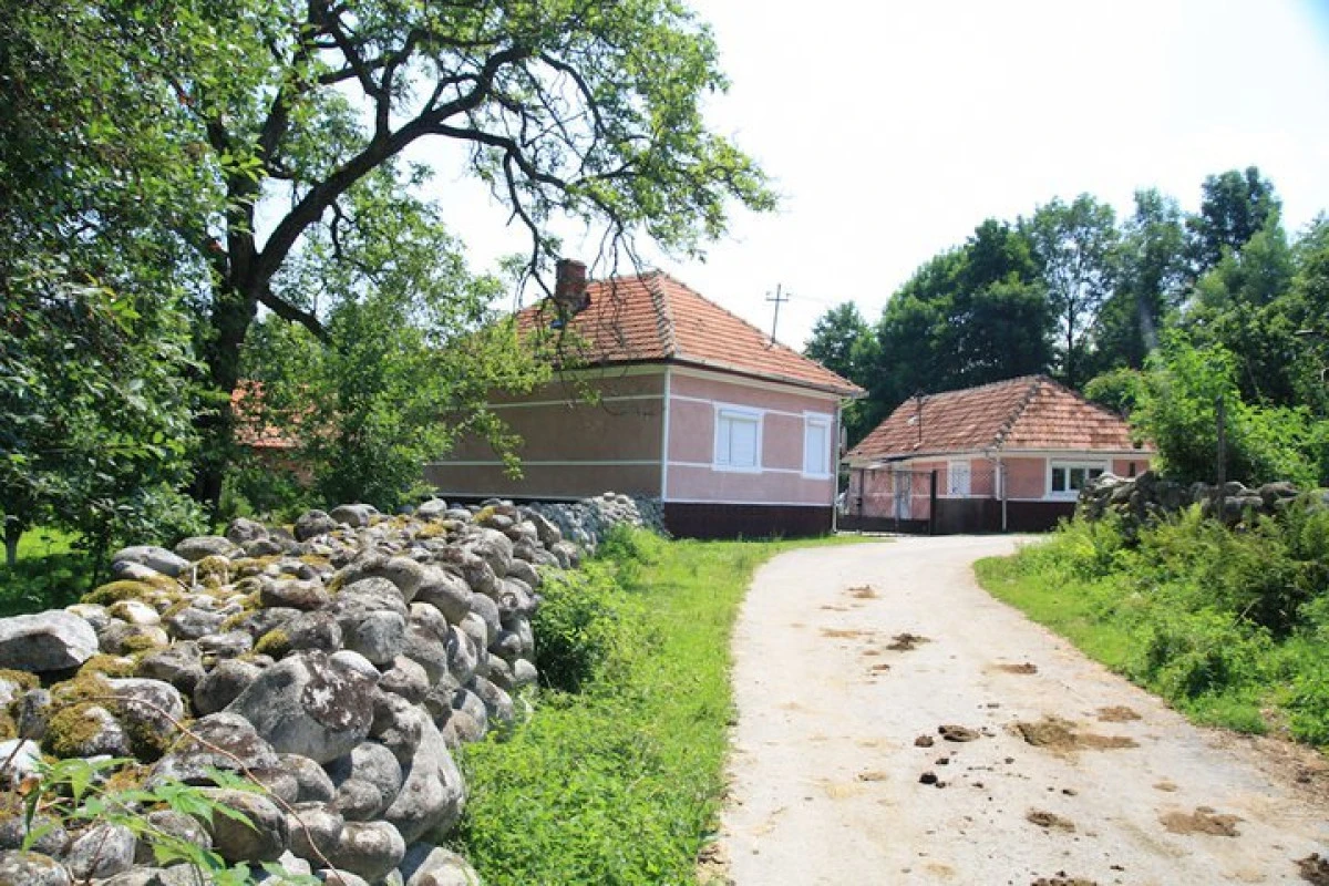 Ohaba Sibișel, satul unde timpul parcă s-a oprit în loc în "epoca de piatră"