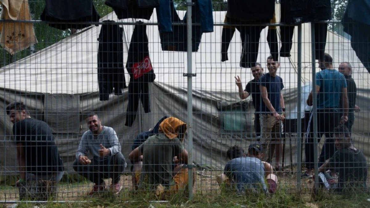 ONU cere Poloniei să primească refugiaţii blocaţi la frontiera cu Belarus