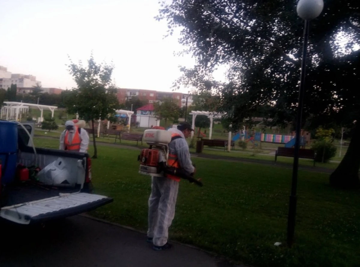 OPERAŢIUNEA ANTI-ŢÂNŢARI A ÎNCEPUT VINERI DIMINEAŢĂ