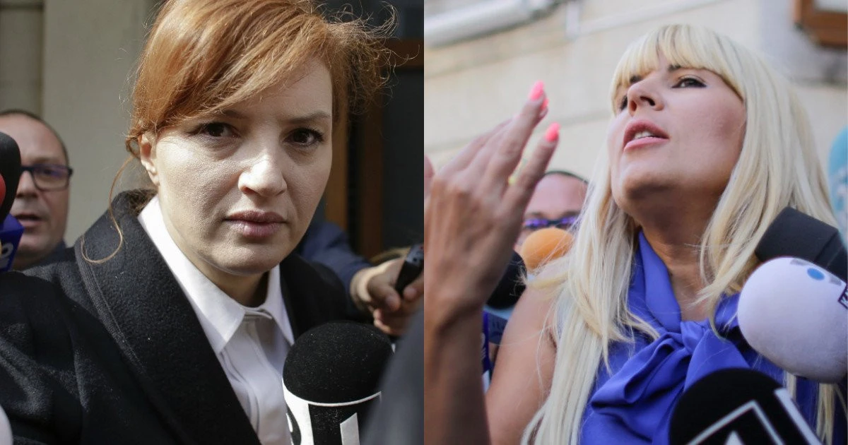 Opt ani de închisoare pentru Udrea și cinci pentru Ioana Băsescu