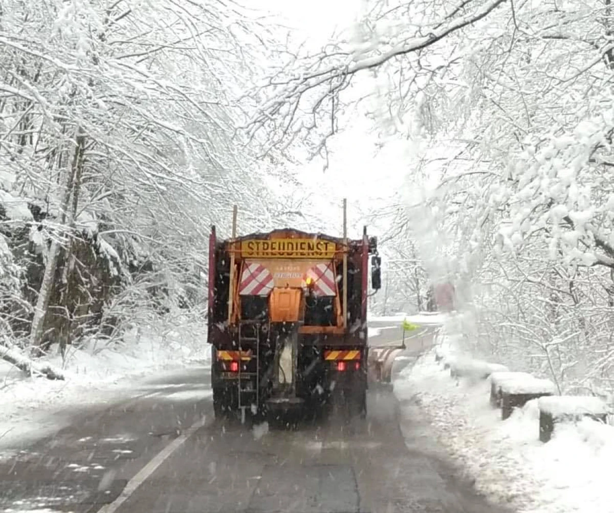 Opt utilaje de deszăpezire au acţionat pe drumurile naţionale din judeţ