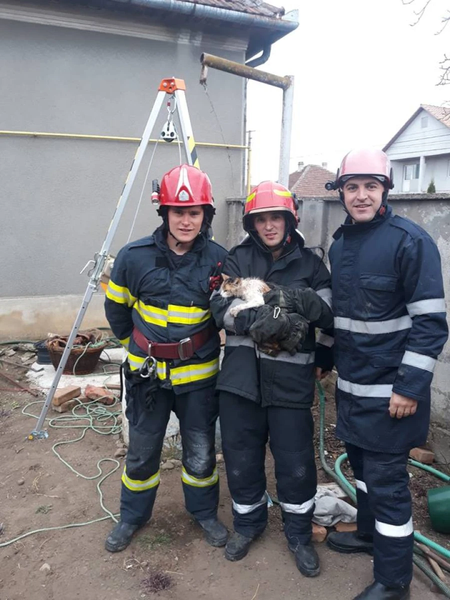 Orice viață contează! Pompierii arădeni au salvat o pisică, care a căzut într-o fântână