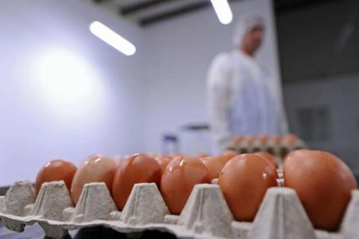OUALE, LEGUMELE SI CONSERVELE DE LEGUME S-AU SCUMPIT CEL MAI MULT, IN DECEMBRIE