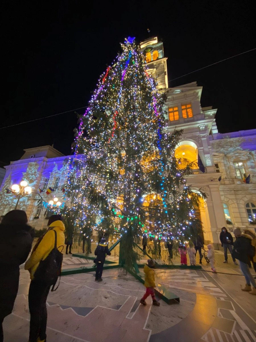 Pădurarul şef al Municipiului Arad a găsit cel mai groaznic brad
