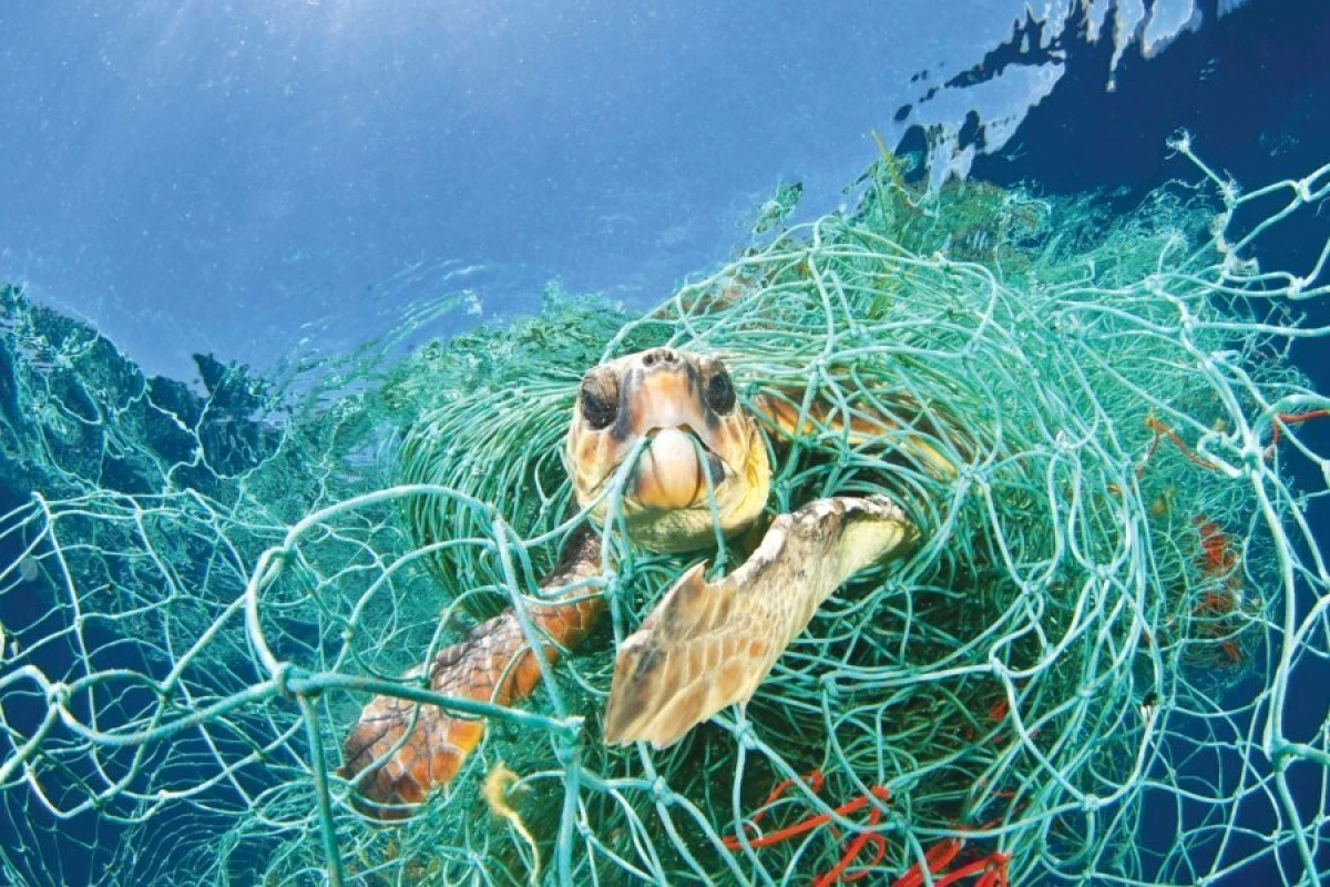 Până în anul 2050, în oceanele lumii ar putea fi mai mult plastic decât peşti