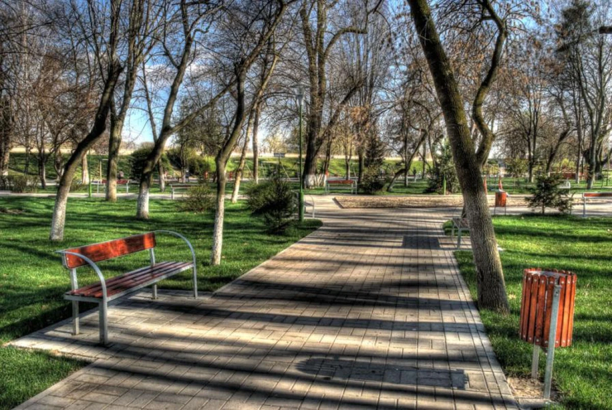 Parcul Copiilor va purta numele lui Zsolt Torok
