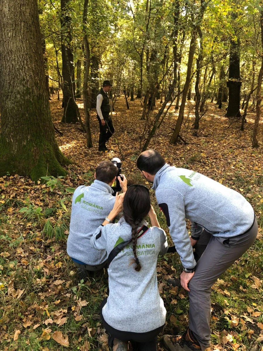 Parcul Natural Lunca Mureșului va avea un nou film de prezentare