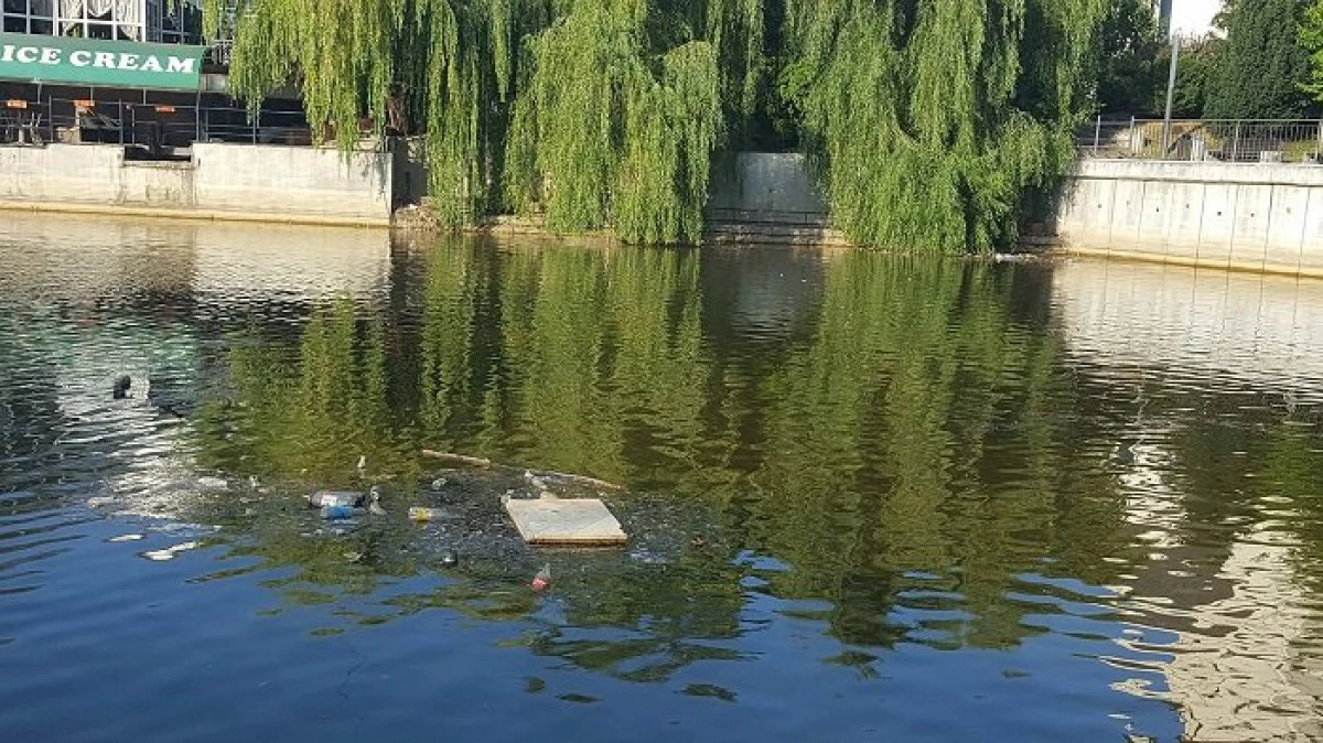 Parcul Pădurice - mizeria în care arădenii sunt obligați să își plimbe copiii, la 31 de grade